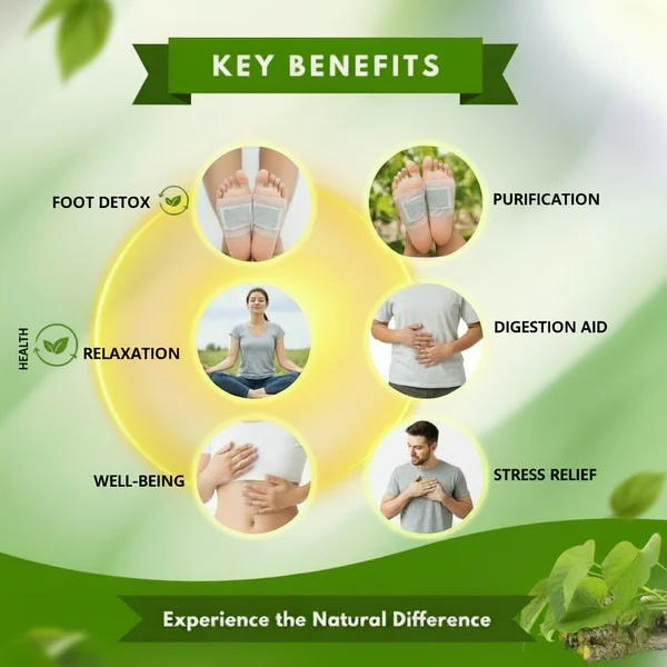 Image1_9bb4ab2d-c0d9-4af3-886c-c3e67eb9d8e4